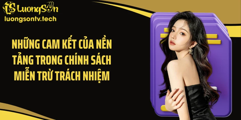 Những cam kết của nền tảng trong chính sách miễn trừ trách nhiệm